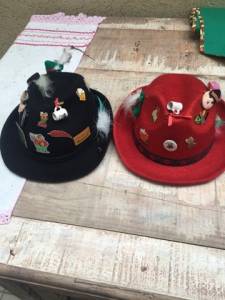 Bolsa Trmica E Chapu