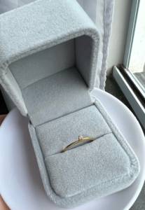 Solitrios Ouro 18k C/ Brilhante