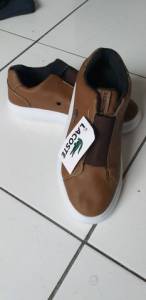 Tnis Lacoste  50,00