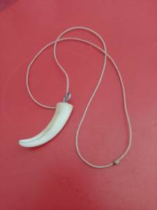 Dente De Javali