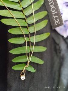 Colar Ponto De Luz 6 Mm Banhada Ouro 18