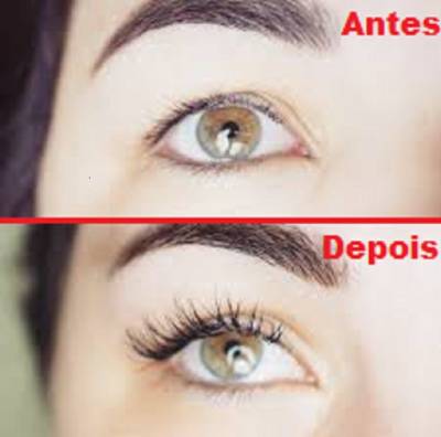 Curso Prolash Extenso De Clios