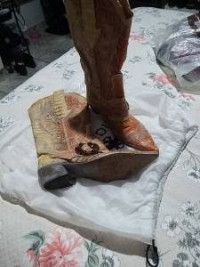 Bota