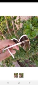 Ray Ban Original