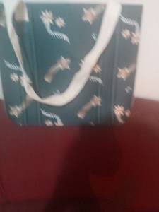 Vendo Bolsa Novinha