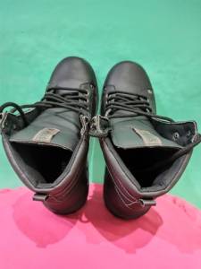 Bota