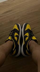 Dunk Low Michingan Em Perfeito Estado