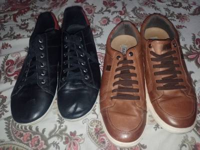 Sapato