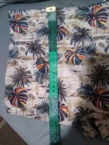 Sunga Masculina