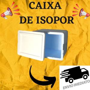Isopor 45l Serve Lata Pizzas Bolsa Bag Mootoboy Novos