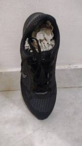 Tnis Nike