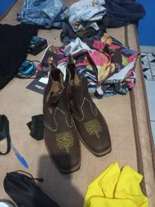 Bota