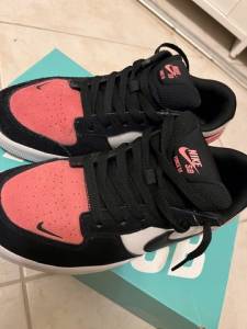 Nike Sb Force 58