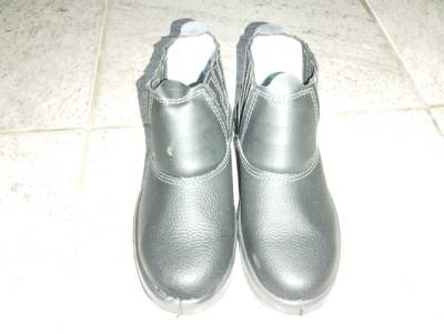 Bota