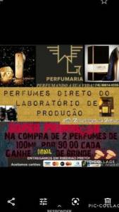 Perfumes Direto Da Fbrica Entrega Gratuita