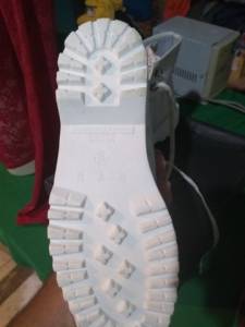 Bota