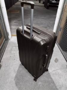 Mala De Viagem Grande Sestini Bronze