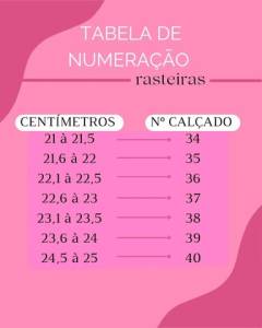 Rasteirinha Feminina Trs Nzinhos