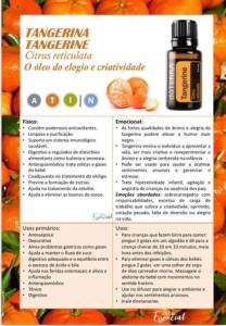 leo Essencial Tangerine D?terra - 15ml