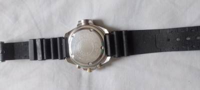 Citizen Aqualand Natulite Srie Ouro 3740