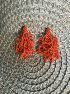 Brinco De Algas