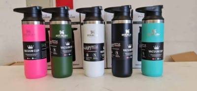 Garrafa Trmica Stanley 500 Ml