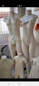 Manequim De Busto E Outros Masculino Pra Vender