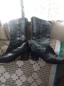 Bota