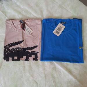Camisas Bsicas