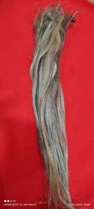 Cabelo Humano