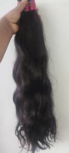 Cabelo Humano