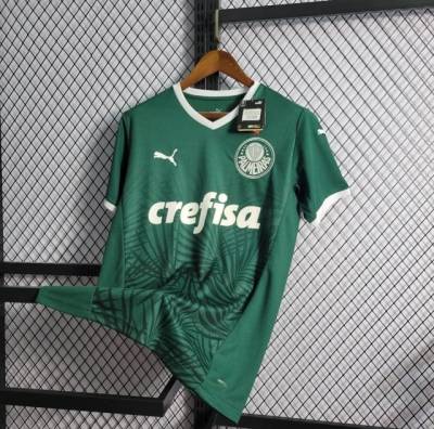 Camisa Do Palmeiras Verde