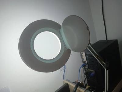 Lupa Esttica