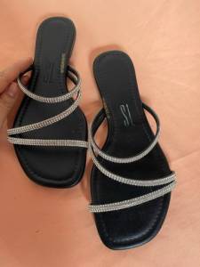 Sandlia Santa Lolla