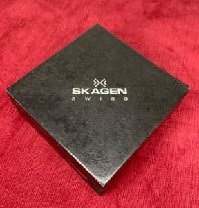 Relgio Skagen
