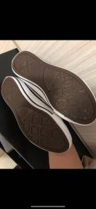 All Star 36