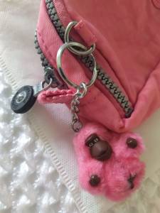 Estojo Kipling