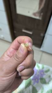 Piercing Orelha Borboleta