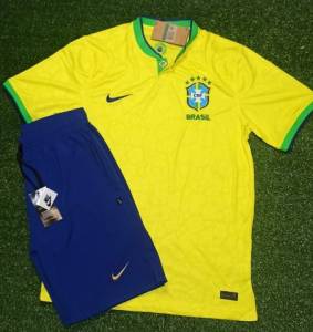 Camisa Brasil Hexa