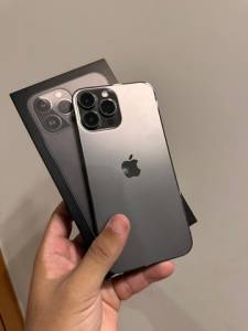13 Pro Max