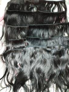 Cabelo Humano