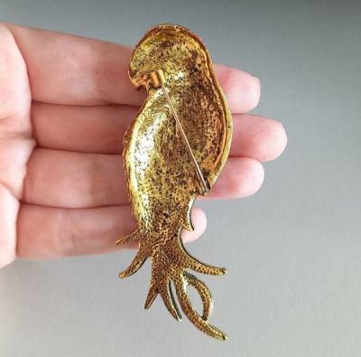 Broche De Papagaio Luxo (novo)