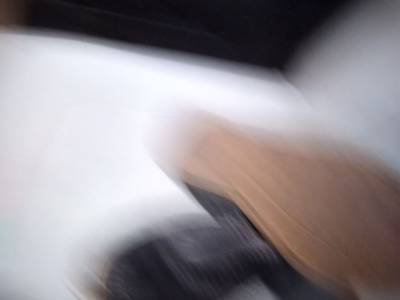 Mocassim Democrata