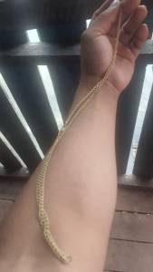 Cordo De Prata