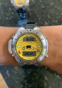 Citizen Aqualand Jp 1060