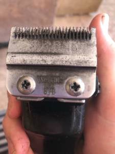 Wahl Magic Clip Cordles