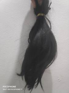 Cabelo Humano