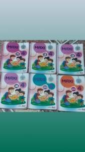 Livro Maxi 4 Ano