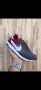 Tenis