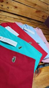 Camisas Algodo Pima